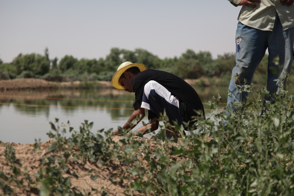 Salah-ad-Din farm