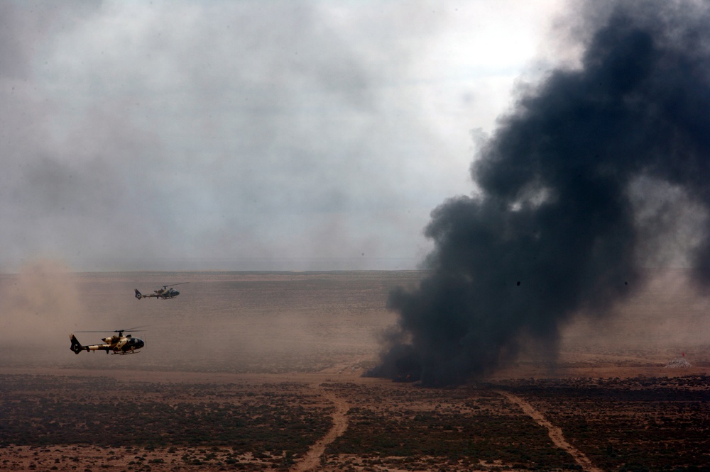 US and Moroccan Troops Wrap Up Exercise African Lion 2010