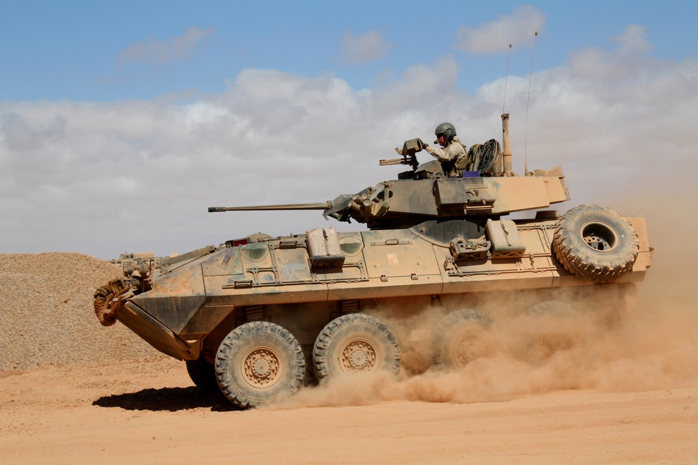 US and Moroccan troops wrap up exercise African Lion 2010