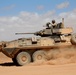 US and Moroccan troops wrap up exercise African Lion 2010