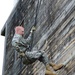 New, Potential Guardsmen Compete, Train at Camp Grafton