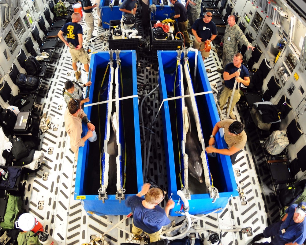 Altus Airmen fly dolphins