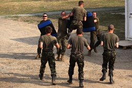 Romanian, Ukrainian Soldiers Join US Marines for Peacekeeping Training