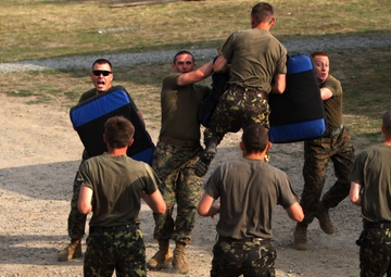 Romanian, Ukrainian soldiers join US Marines for peacekeeping training