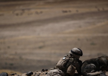 Routine Operation Meets Resistance