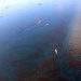 Skimming Oil in Gulf of Mexico