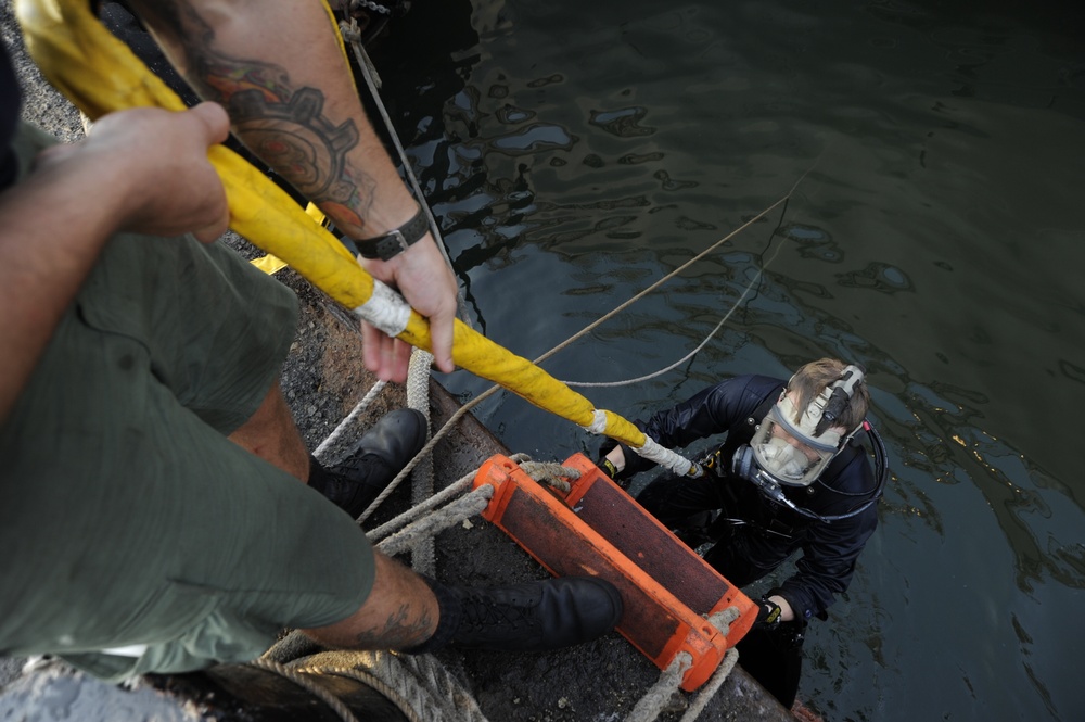 Damaged CPP BladesDdiving