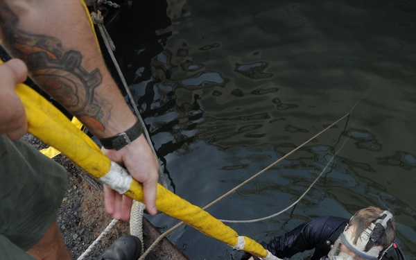 Damaged CPP BladesDdiving