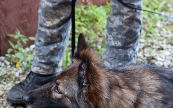 Indiana State Trooper Canine Training at Camp Atterbury