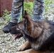 Indiana State Trooper Canine Training at Camp Atterbury