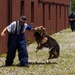 Indiana State Trooper Canine Training at Camp Atterbury