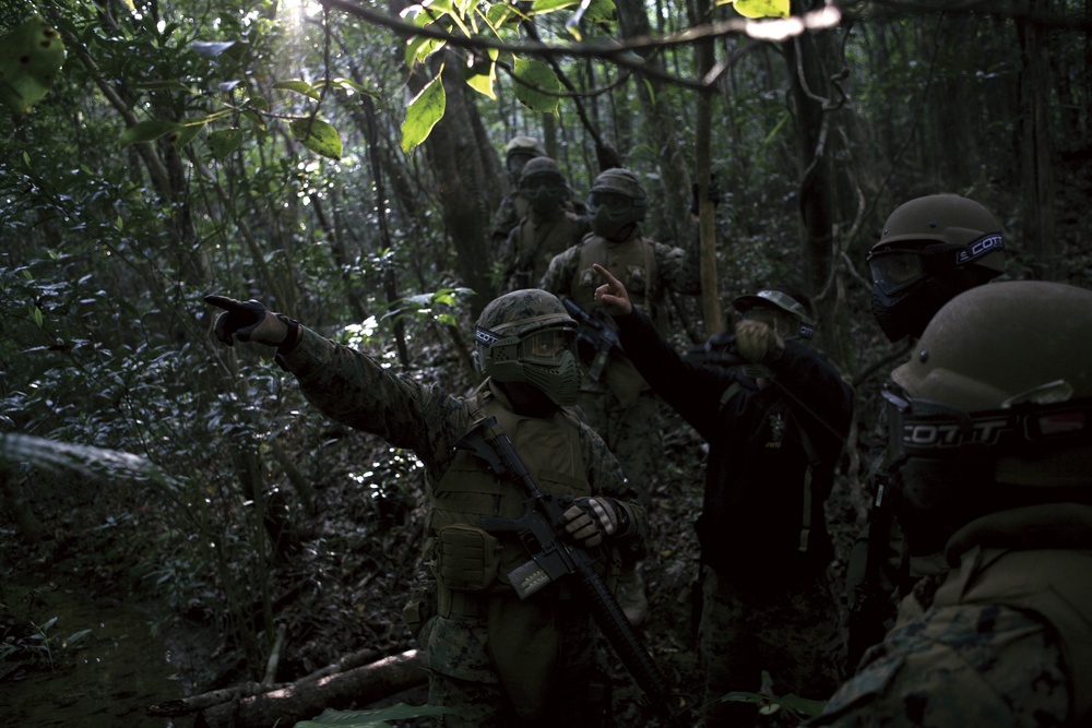 Marines From Okinawa Hone Jungle Warfare Skills