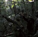 Marines From Okinawa Hone Jungle Warfare Skills