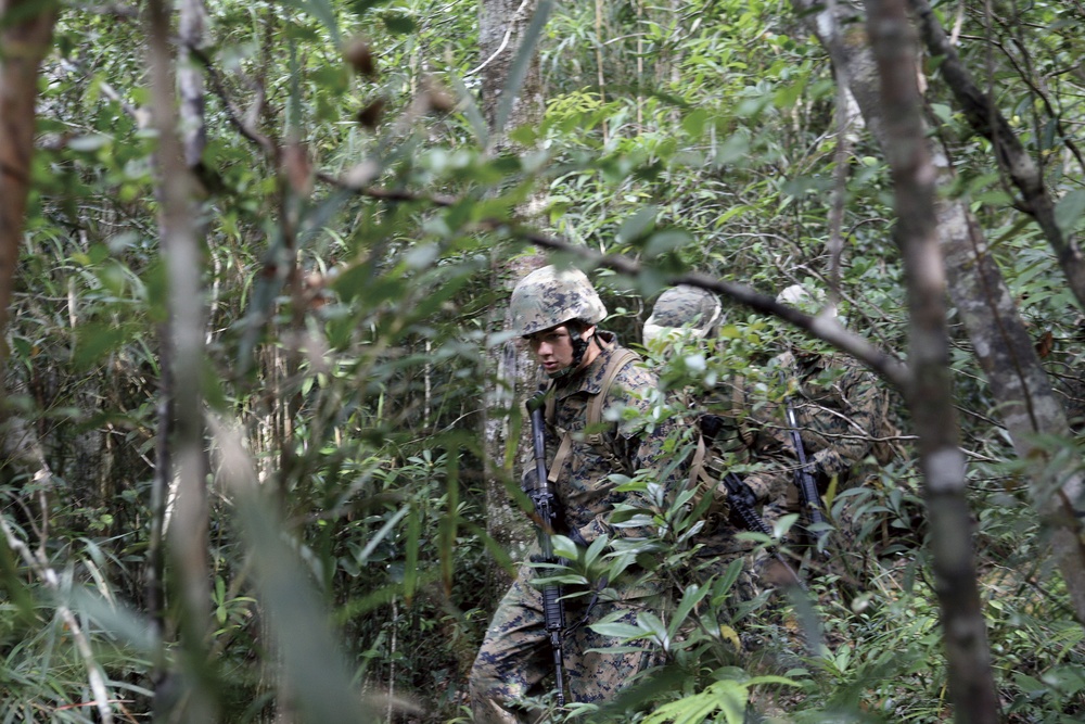 Marines From Okinawa  Hone Jungle Warfare Skills
