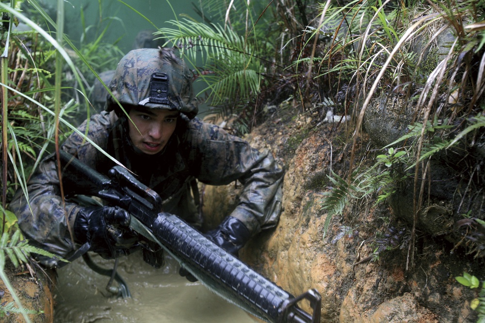 Marines From Okinawa  Hone Jungle Warfare Skills