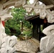 Visitors Experience Okinawa Through Naha Tour Sponsored by Marine Corps Community Services