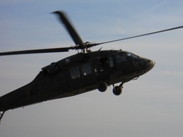 Along Came the Spiders...