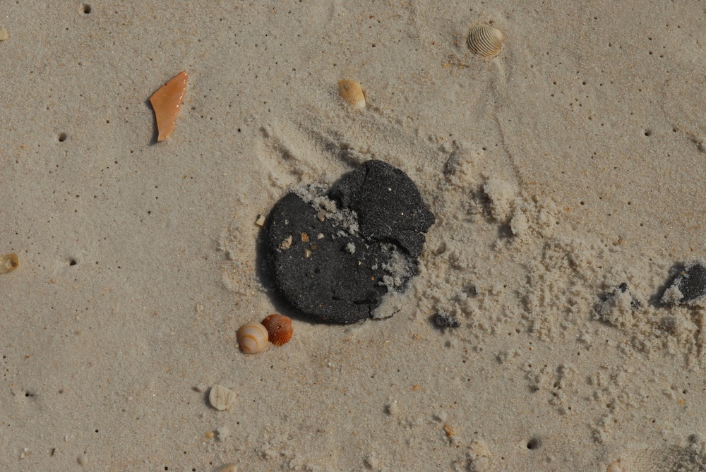 Florida National Guard patrols for oil on beaches