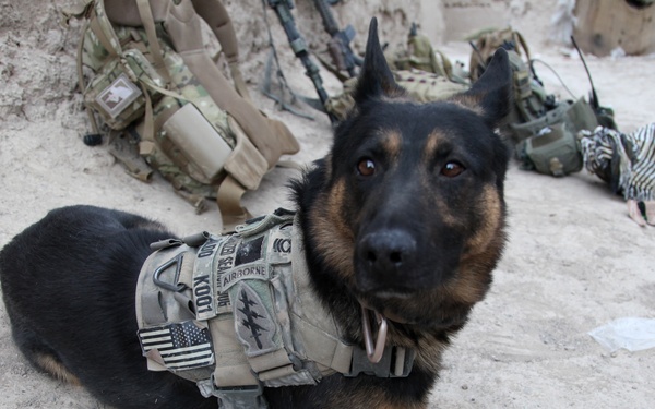 Operation Enduring Freedom,  Operation Asli Khadaff