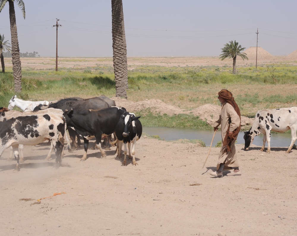 Route Clearance: Maysan Province, Iraq