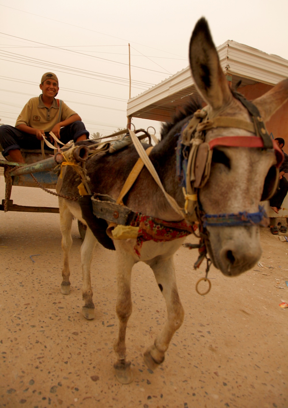 Basra patrol