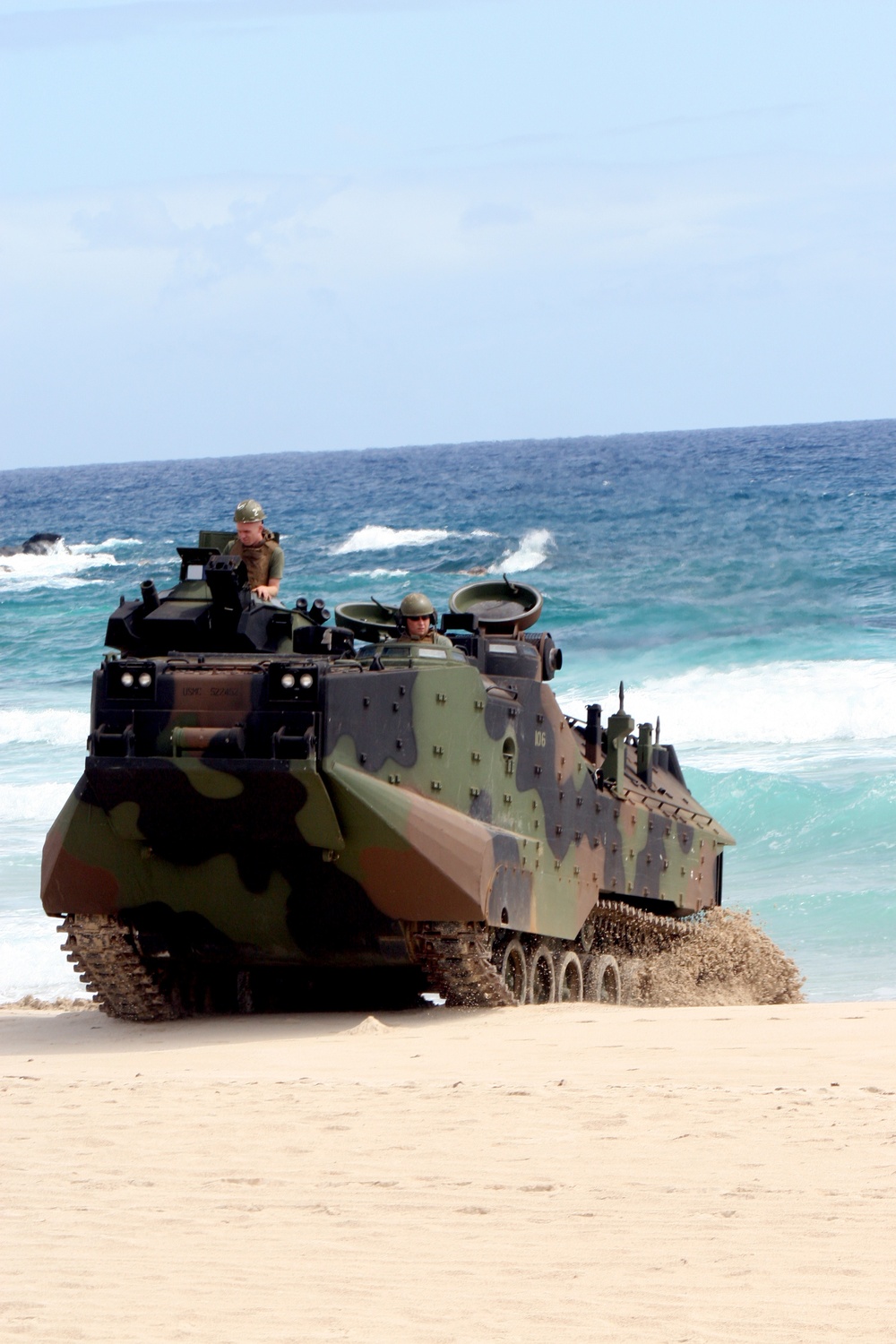 DVIDS - Images - RIMPAC 2010 [Image 1 of 3]
