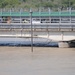 South Texas Flooding