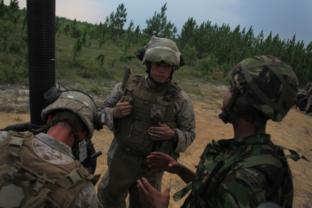 Supporting Arms Coordination Exercise