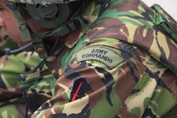 Supporting Arms Coordination Exercise
