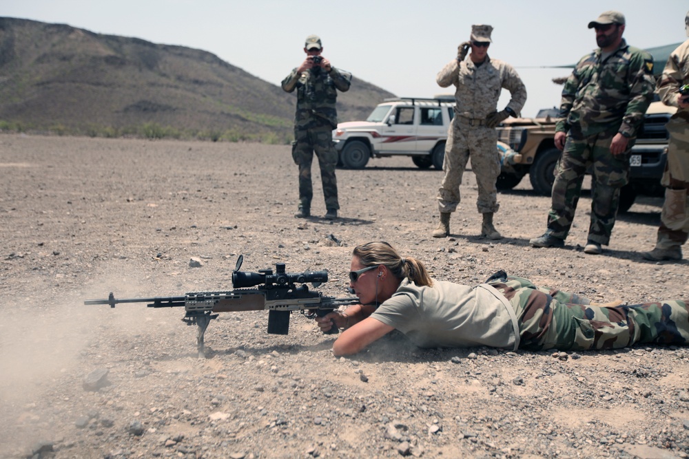 Sustainment Training