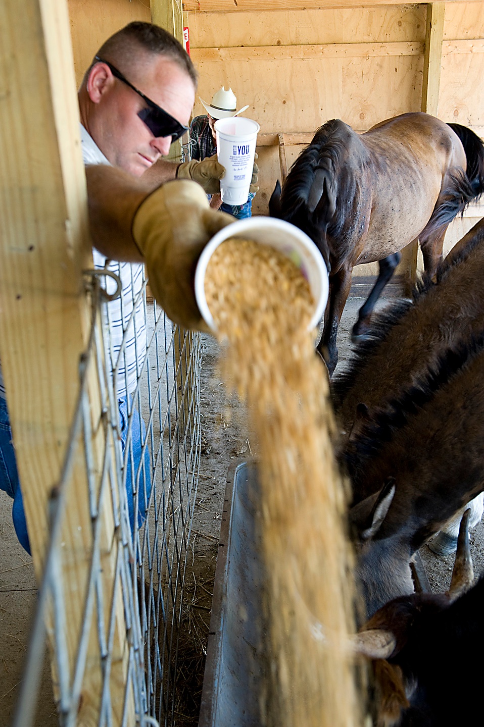 Muscatatuck Farm Helps Create Realism