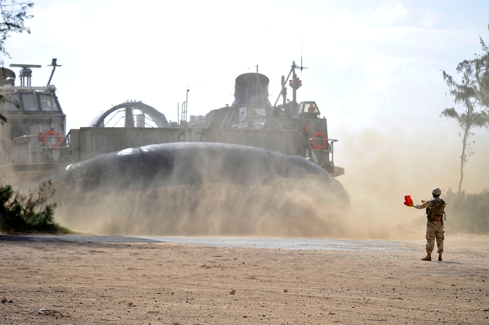 RIMPAC 2010 - Amphibious Assault on the Beaches of Bellows AFB