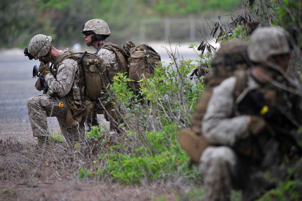 RIMPAC 2010 - Amphibious Assault on the Beaches of Bellows AFB