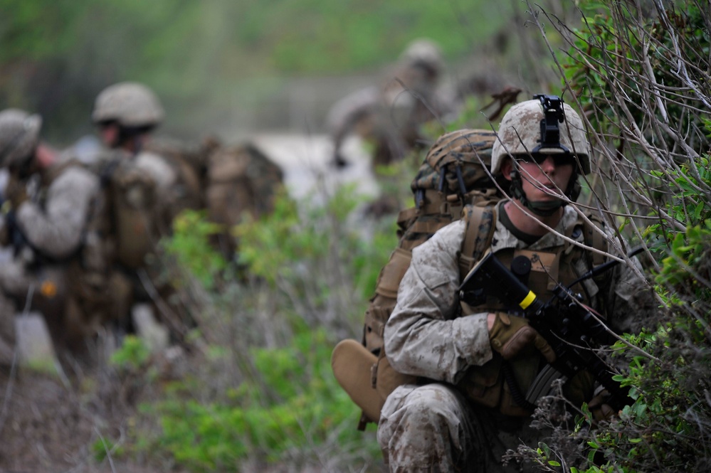 RIMPAC 2010 - Amphibious Assault on the Beaches of Bellows AFB