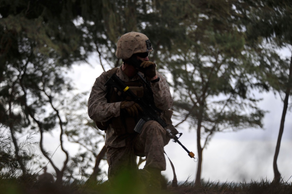 RIMPAC 2010 - Amphibious Assault on the Beaches of Bellows AFB