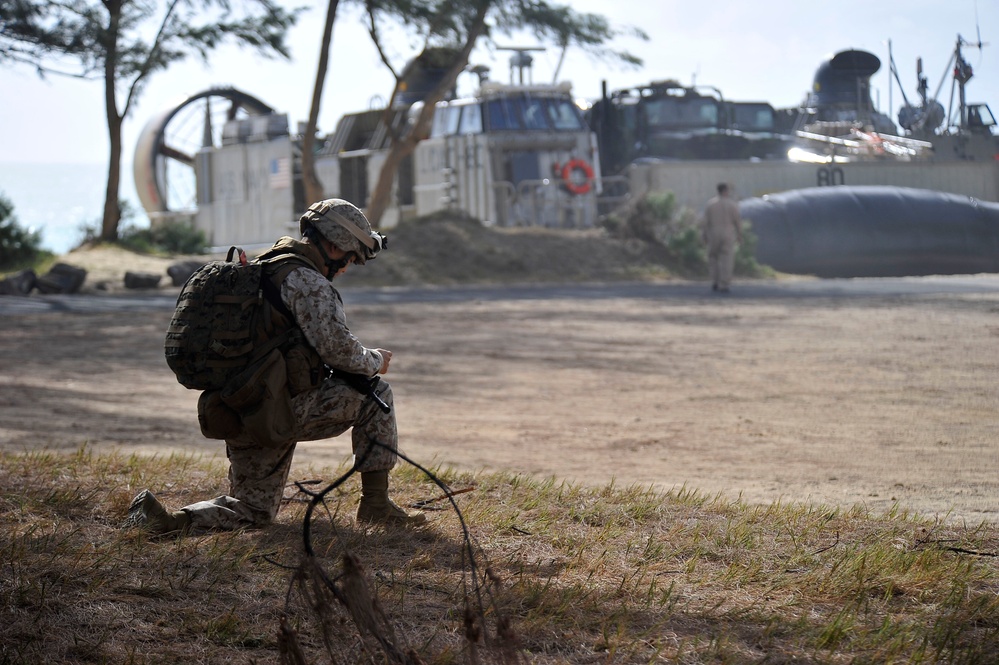 RIMPAC 2010 - Amphibious Assault on the Beaches of Bellows AFB