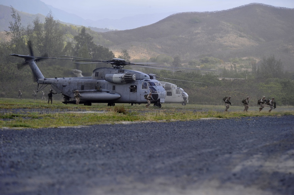 RIMPAC 2010 - Amphibious Assault on the Beaches of Bellows AFB