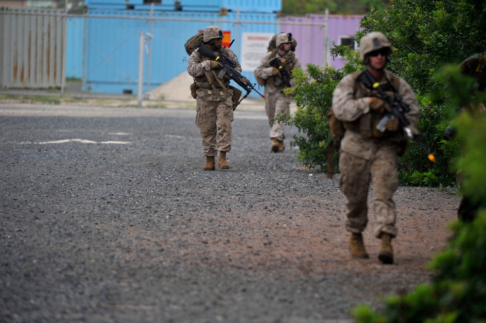 RIMPAC 2010 - Amphibious Assault on the Beaches of Bellows AFB