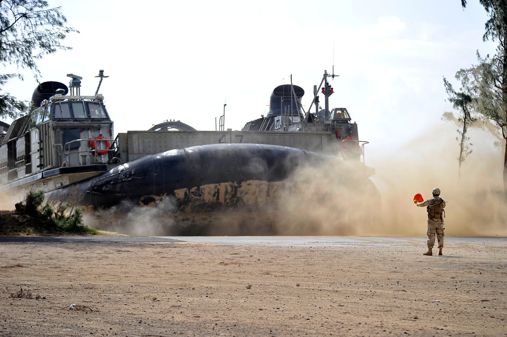 RIMPAC 2010 - Amphibious Assault on the Beaches of Bellows AFB