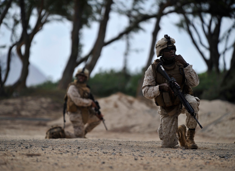 RIMPAC 2010 - Amphibious Assault on the Beaches of Bellows AFB