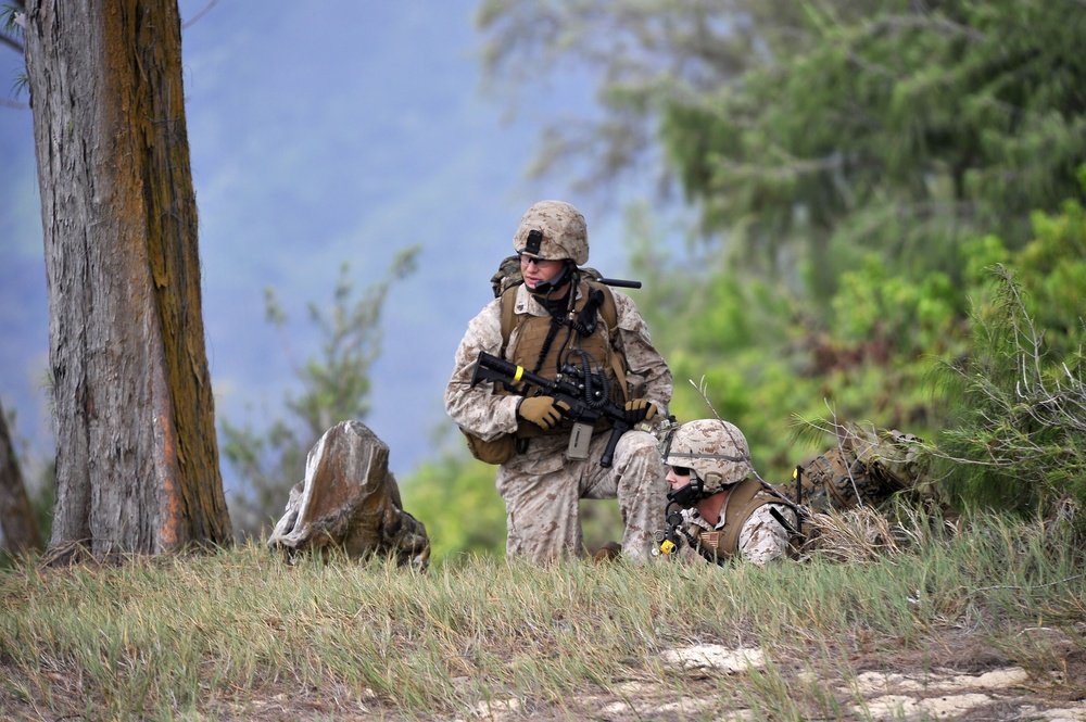 RIMPAC 2010 - Amphibious Assault on the Beaches of Bellows AFB