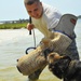 Military Working Dog Trains in Water