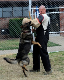 Dog Days: ACC Hosts MWD Training Seminar at Langley