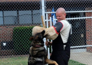 Dog days: ACC hosts MWD training seminar at Langley
