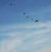 Operation Wing Lightening