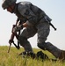 Operation Wing Lightening