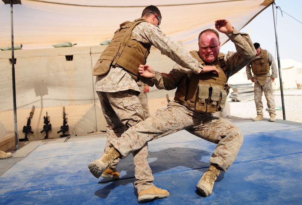 Marines From 215th Corps Partner Team Conduct Landing Zone Drill for Marine Corps Martial Arts Belt Advancement