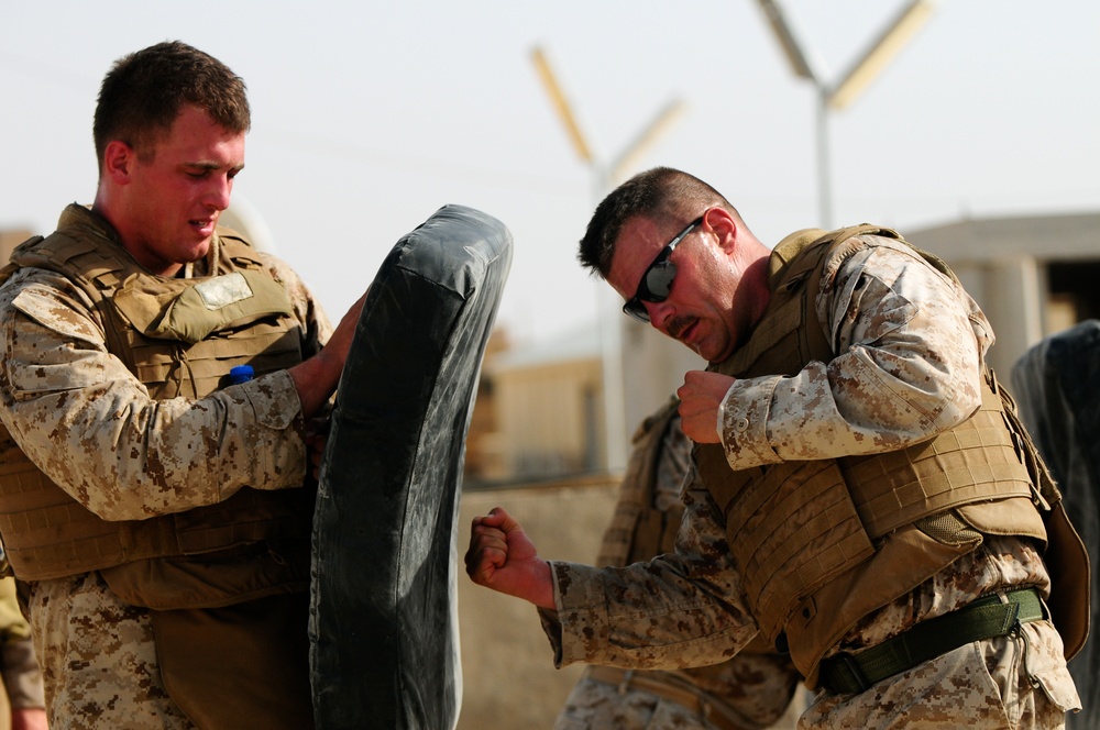 Marines From 215th Corps Partner Team Conduct Landing Zone Drill for Marine Corps Martial Arts Belt Advancement