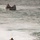 Amphibious-Southern Partnership Station 2010 Amphibious-Southern Partnership Station 2010