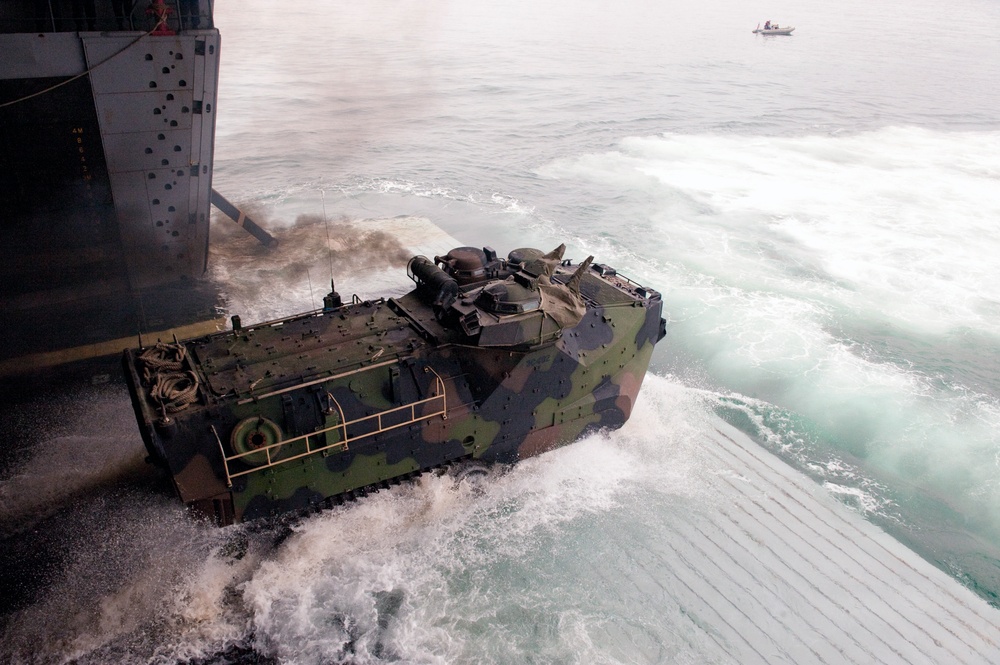 Amphibious-Southern Partnership Station 2010